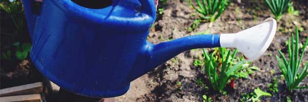 Wie man sie effektiv im Garten und im Freien einsetzt 4 - Bewässerungswerkzeuge: Wie man sie effektiv im Garten und im Freien einsetzt