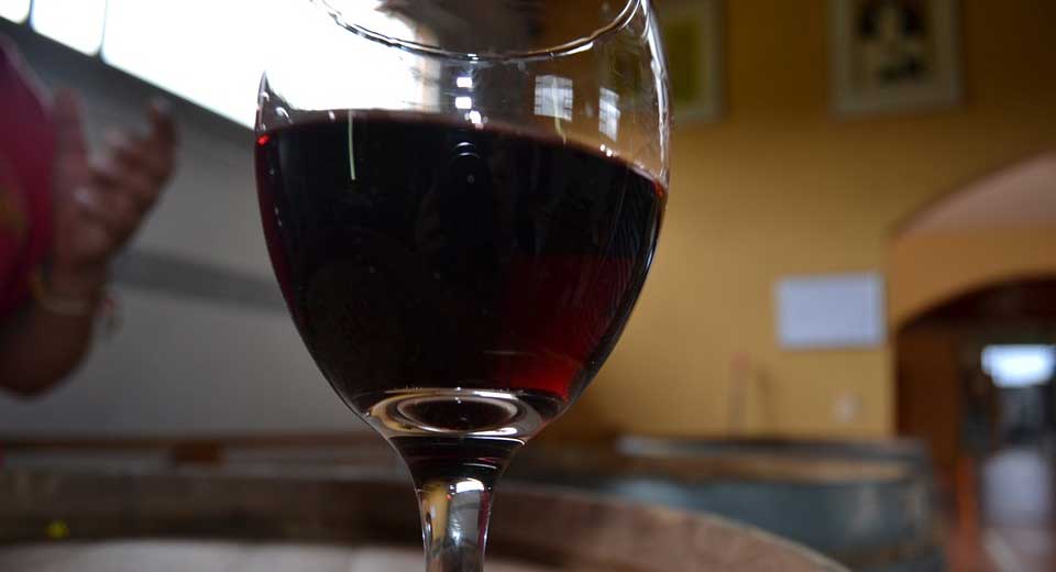 Wein selber fermentieren – die nachhaltige Form des Alkohols