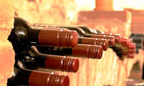 die nachhaltige Form des Alkohols 1 - Wein selber fermentieren - die nachhaltige Form des Alkohols